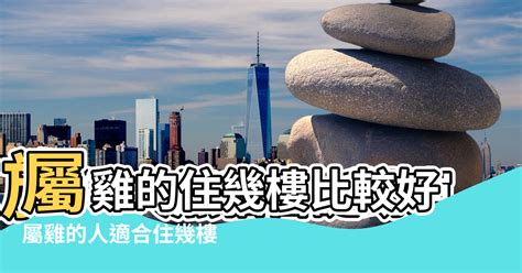 屬雞適合住幾樓|生肖屬雞適合什麼方位的房子 